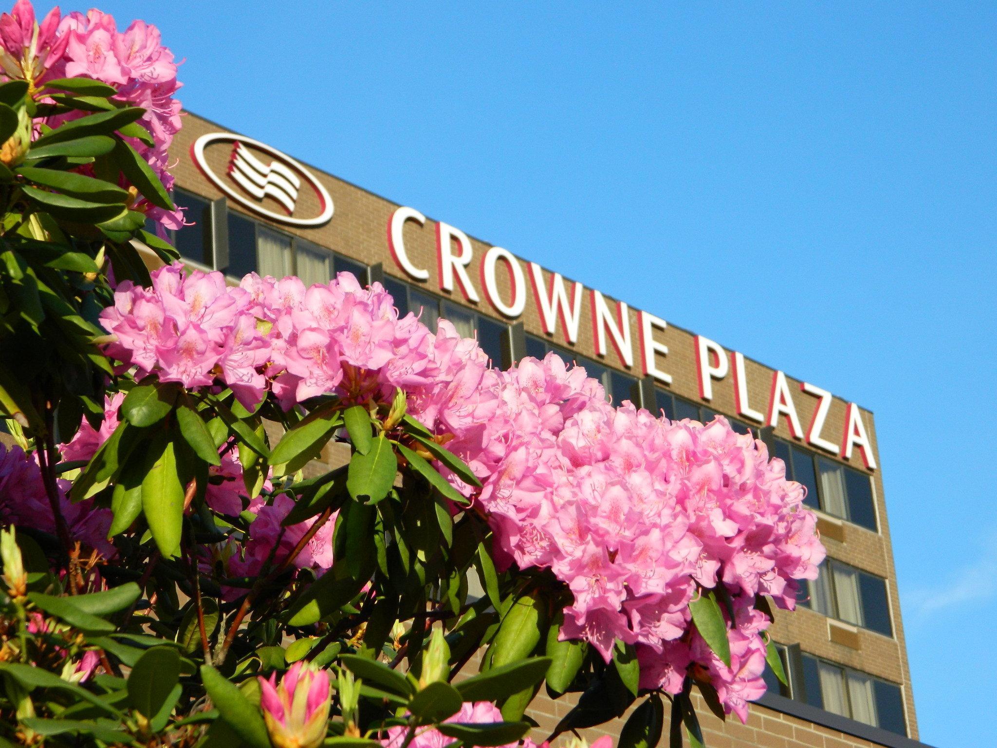 Crowne Plaza Danbury, An Ihg Hotel Экстерьер фото